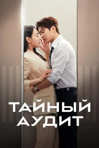 Тайный аудит 1 сезон
